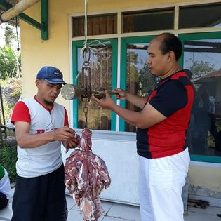 Qurban di Pondok Pasantren Umdatul Quran